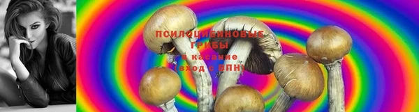 стаф Абдулино