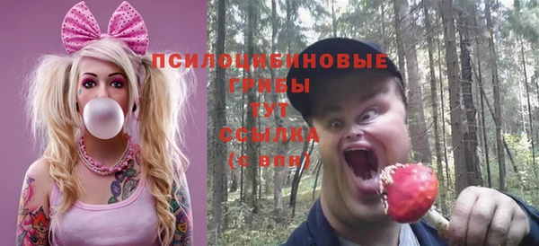 стаф Абдулино