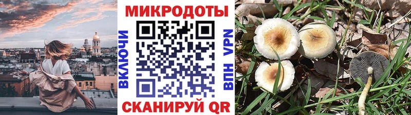 Галлюциногенные грибы MAGIC MUSHROOMS  купить наркотик  Зеленокумск 
